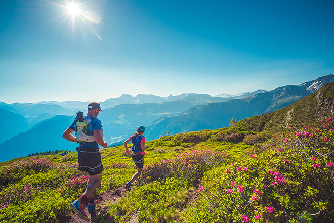 Zomer in de Alpen - Wat is er te doen?